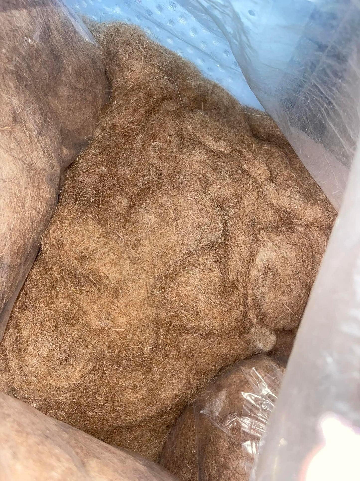 100% Camel down raw