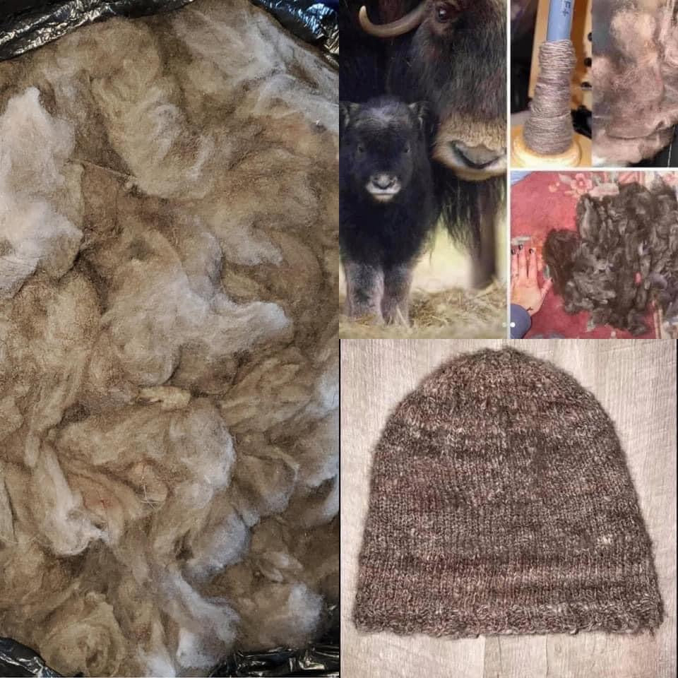100% Musk Ox QIVIUT down fiber