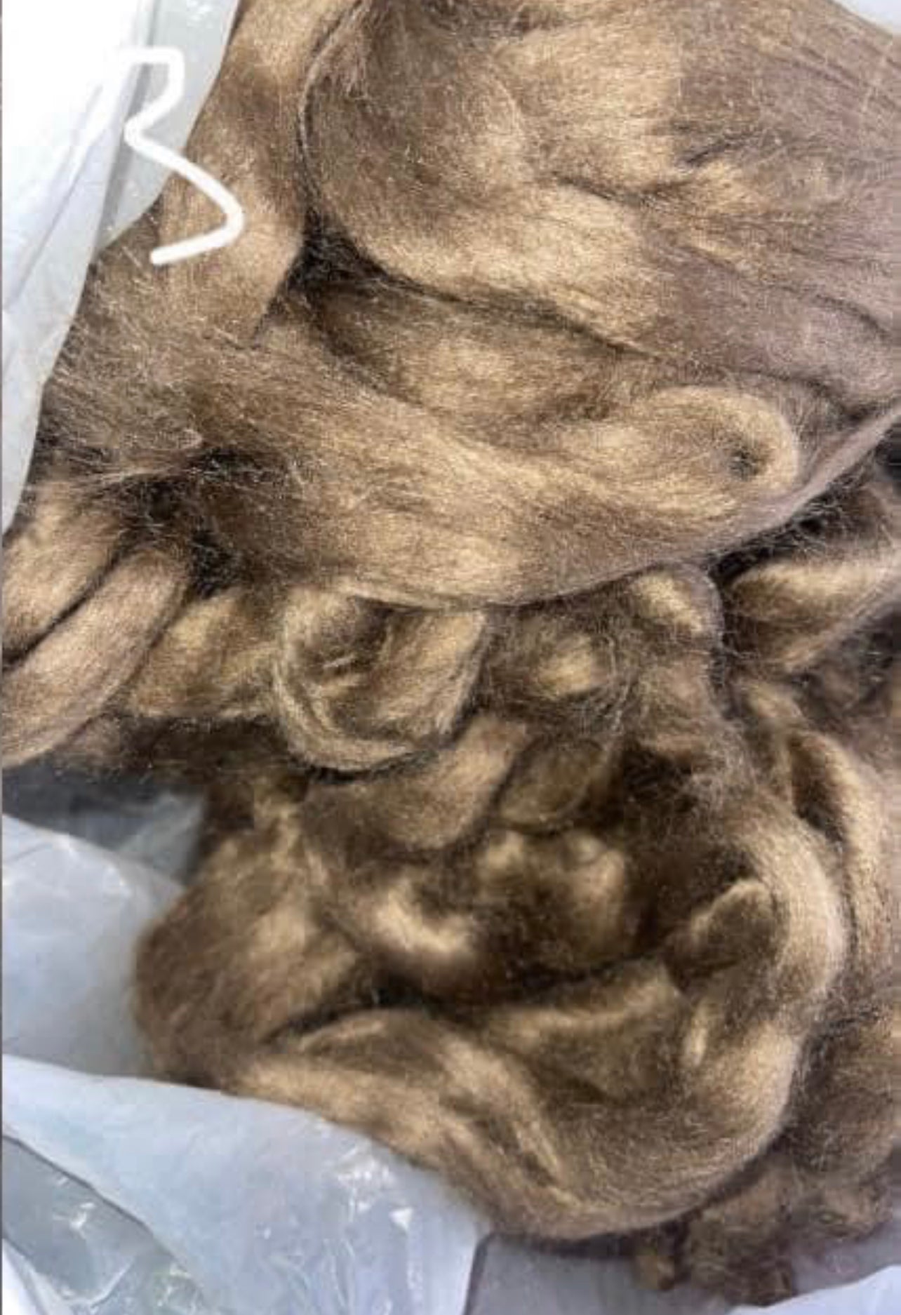 100% Tussar SILK Top “Wild”