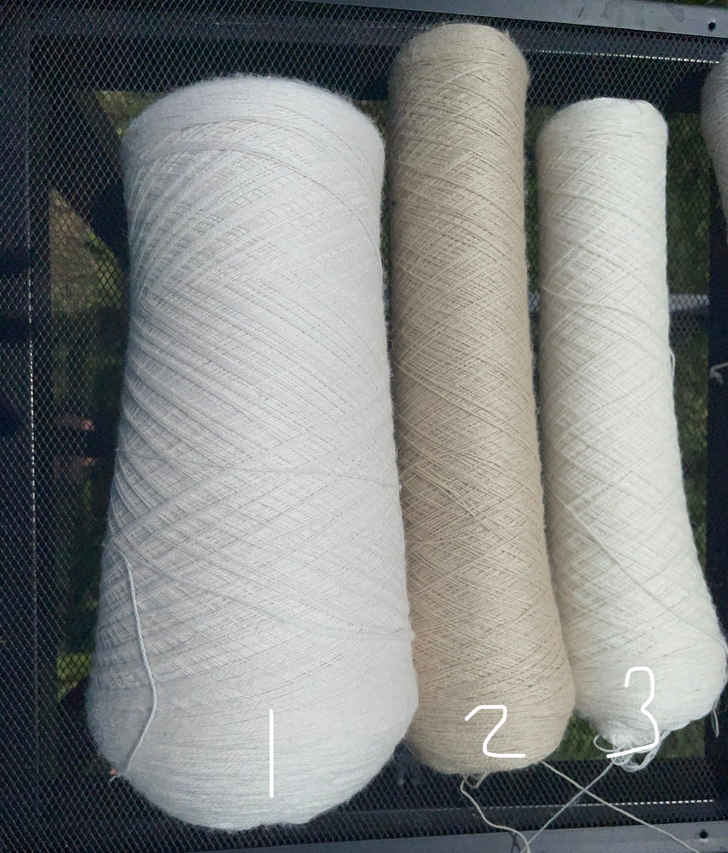 CASHMERE Merino Lace