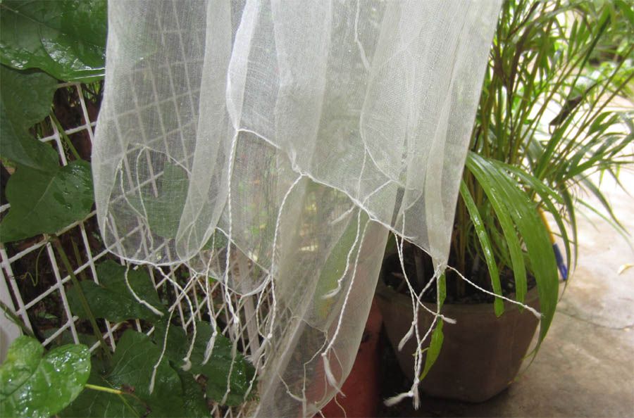 SALE Large 100% SILK organza Scarf