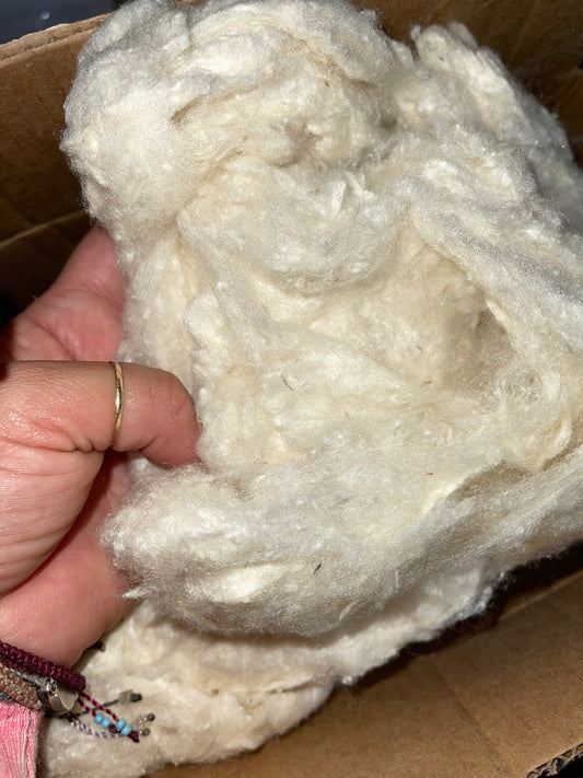 NEW 100% ERI PEACE Silk Noil fiber 1 pound